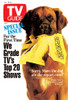 Empty Nest, Dreyfuss, Tv Guide Cover, January 18-24, 1992. Tv Guide/Courtesy Everett Collection Poster Print
