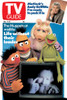 Ernie, Bert, Miss Piggy, Kermit With Muppets Creator Jim Henson. Inset: Andy Griffith, Tv Guide Cover, November 17-23, 1990. Tv Guide/Courtesy Everett Collection Poster Print