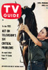 National Velvet, Lori Martin, Tv Guide Cover, April 8-14, 1961. Ph: Richard Hewett. Tv Guide/Courtesy Everett Collection Poster Print