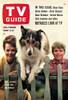 Lassie, From Left: June Lockhart, Lassie, Jon Provost, Tv Guide Cover, August 24-30, 1963. Ph: John R. Hamilton. Tv Guide/Courtesy Everett Collection Poster Print