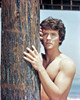 The Man From Atlantis, Patrick Duffy, 1977-78 Poster Print