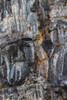 Pattern in rock cliffs of Genovesa Island-Galapagos Islands-Ecuador Poster Print - Adam Jones # VARPDXSA07AJE0211
