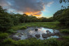 Galapagos giant tortoise gathering in small pond at sunset Genovesa Island-Galapagos Islands Poster Print - Adam Jones # VARPDXSA07AJE0160