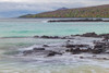 Small waves on lava rocks along shoreline of Floreana Island-Galapagos Islands-Ecuador Poster Print - Adam Jones # VARPDXSA07AJE0153