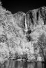 Infrared of Yosemite Falls-Yosemite National Park-California Poster Print - Adam Jones # VARPDXUS05AJE0763