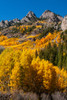 Maroon Bells-Snowmass Wilderness in autumn Poster Print - Mallorie Ostrowitz # VARPDXUS06MOS0070