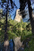 El Capitan reflected on Merced River-Yosemite National Park-California Poster Print - Adam Jones # VARPDXUS05AJE0664