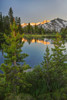 Alpine tarn-Tuolumne Meadows sunrise-Yosemite National Park-California Poster Print - Adam Jones # VARPDXUS05AJE0586
