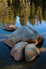 Rocks in Tuolumne River-Tuolumne Meadows-Yosemite National Park-California Poster Print - Adam Jones # VARPDXUS05AJE0589
