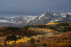USA-Colorado-Uncompahgre National Forest Snowy Sneffels Range and autumn forest Poster Print - Jaynes Gallery # VARPDXUS06BJY2752
