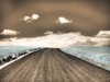 USA-Washington State-Palouse-Country backroad through spring crops Poster Print - Terry Eggers # VARPDXUS48TEG1621