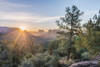 Arizona-Sedona Cathedral Rock at sunrise Poster Print - Rob Tilley # VARPDXUS03RTI0081