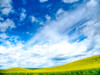 USA-Washington State-Palouse-Spring canola field with beautiful clouds Poster Print - Terry Eggers # VARPDXUS48TEG1575