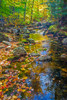 USA-New England-Maine Autumn and stream just off of Wild River Road Poster Print - Sylvia Gulin # VARPDXUS20SGU0003