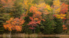 USA-Maine-Acadia National Park Forest reflections in lake Poster Print - Jaynes Gallery # VARPDXUS20BJY0091