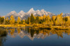 Teton Range from Schwabacher Landing-Grand Teton National Park-Wyoming Poster Print - Adam Jones # VARPDXUS51AJE0842