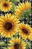 Sunflower Field Poster Print - Kimberly Allen # VARPDXKARC2852A