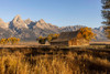 Moulton barn at sunrise and Teton Range-Grand Teton National Park-Wyoming Poster Print - Adam Jones # VARPDXUS51AJE0796
