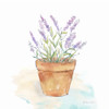Let it Grow VIII Poster Print - Cynthia Coulter # VARPDXRBLIG08CC