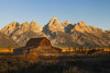 Historical Moulton barn at sunrise-Grand Teton National Park-Wyoming Poster Print - Adam Jones # VARPDXUS51AJE0635
