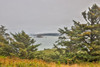Usa-Oregon-Port Orford Cape Blanco Lighthouse-Coast Near Cape Blanco Lighthouse Poster Print - Hollice Looney # VARPDXUS38HLL0169
