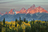 Autumn view of Teton Range at sunrise-Grand Teton National Park-Wyoming Poster Print - Adam Jones # VARPDXUS51AJE0619