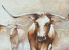 Longhorn Herd Poster Print - White Ladder # VARPDXWL166