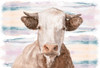 Whimsical Cow Poster Print - White Ladder # VARPDXWL162