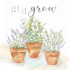 Let it Grow III Poster Print - Cynthia Coulter # VARPDXRBLIG03CC