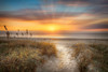 Sandy Walk At The Dunes Poster Print - Celebrate Life Gallery # VARPDXPOD61006
