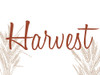 Harvest Poster Print - Kimberly Allen # VARPDXKARC2089B2