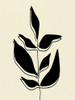 Natural 4 Poster Print - Kimberly Allen # VARPDXKARC2786D