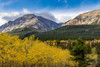 Autumn aspen grove with Bear Mountain in Glacier National Park-Montana-USA Poster Print - Chuck Haney # VARPDXUS27CHA4947
