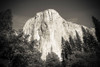 El Capitan-Yosemite Valley-Yosemite National Park-California-USA Poster Print - Russ Bishop # VARPDXUS05RBS1875