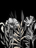 Floral Leaves 1 Poster Print - Kimberly Allen # VARPDXKARC2785A