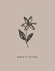 Serene Sentiment II-Gratitude Poster Print - HM Design # VARPDXRB17148HMD