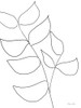 Leaf Sketch 2 Poster Print - Susan Ball # VARPDXSB994