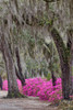 Bonaventure Cemetery-Georgia-Savannah Poster Print - Adam Jones # VARPDXUS11AJE0055