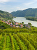 Historic village Spitz located in wine-growing area-UNESCO World Heritage Site-Lower Austria Poster Print - Martin Zwick # VARPDXEU03MZW1013