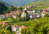 Historic village Spitz located in wine-growing area-UNESCO World Heritage Site-Lower Austria Poster Print - Martin Zwick # VARPDXEU03MZW0994