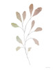 Watercolor Branch 2 Poster Print - Susan Ball # VARPDXSB1121