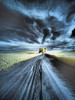 USA-Washington State-Palouse region-Backcountry road leading to Lone Tree Poster Print - Terry Eggers # VARPDXUS48TEG1775