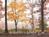 You Were Born to Stand Out Poster Print - Lori Deiter # VARPDXLD3046