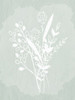 Floral Sketch 1 Poster Print - Kimberly Allen # VARPDXKARC2710A