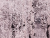 USA-Utah-Aspen Grove in infrared of the Logan Pass area Poster Print - Terry Eggers # VARPDXUS45TEG0041