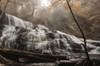 Mohawk Rays of Light Poster Print - Lori Deiter # VARPDXLD3025