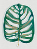 Modern Tropic Leaf I Poster Print - Eva Watts # VARPDXEW910A