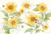 Be My Sunshine I Poster Print - Cynthia Coulter # VARPDXRBBMS01CC