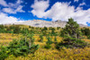 Nigel Peak from Wilcox Ridge-Columbia Icefields-Jasper National Park-Alberta-Canada Poster Print - Russ Bishop # VARPDXCN01RBS0130
