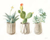 Desert Greenhouse IX Poster Print - Danhui Nai # VARPDX77999